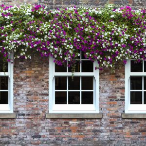 UK Window & Door Manufacturer | Sash Experts | Quickslide