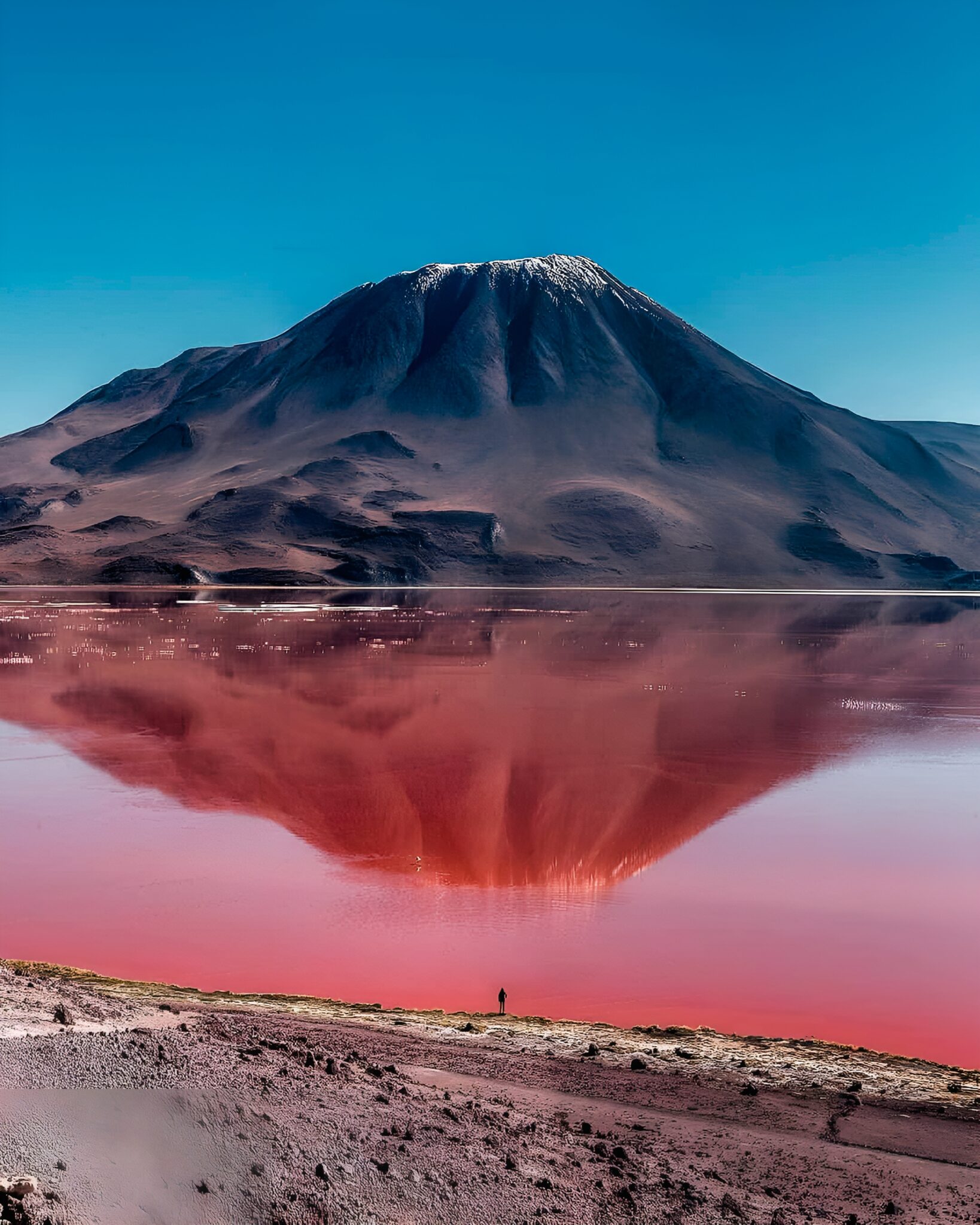 Laguna Colorada y paisaje volcánico, galería oficial de Uyuni Tours