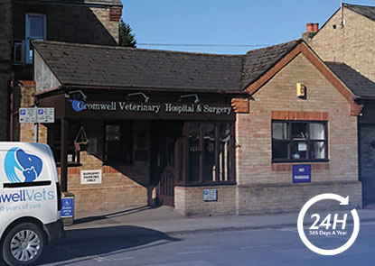 Vets in Cambridgeshire | Cromwell Vets 6 vet practices