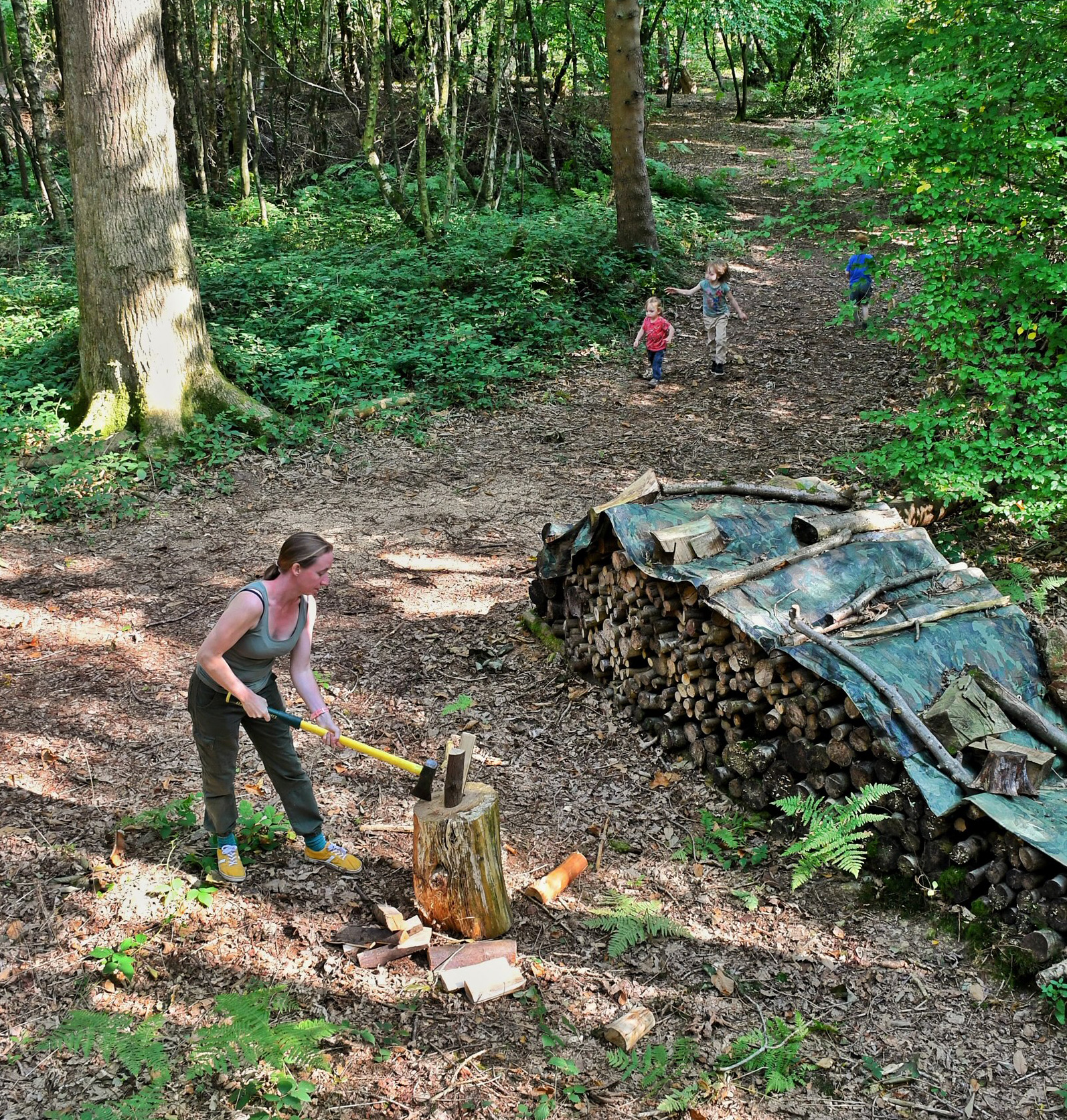 Woodlands.co.uk - Woodlands for sale in the UK