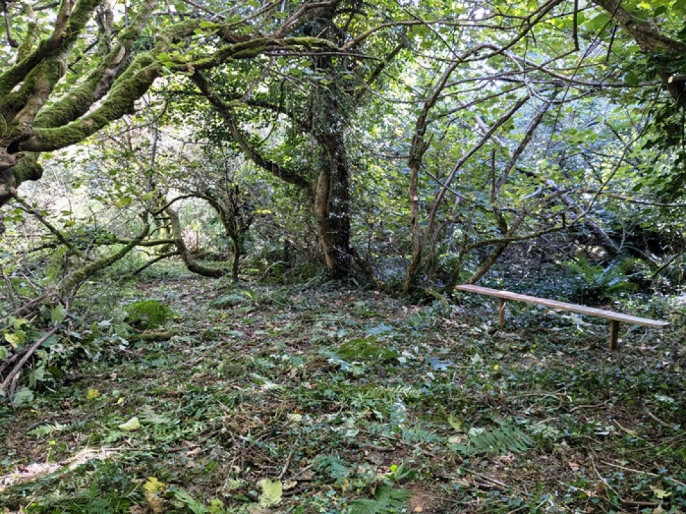 Woodlands.co.uk - Woodlands for sale in the UK