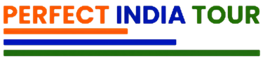 Logo de Perfect India Tour