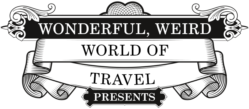 Wine Flies Wine Tours logo