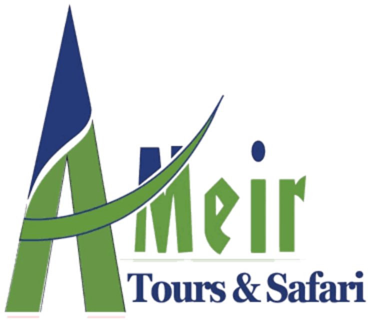 Logo de Ameir Tours