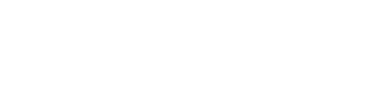 Ancol Pet Products Limited logo