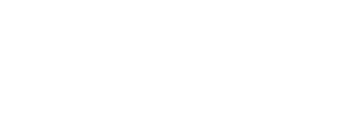 AVEIKA logo