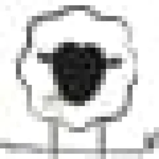 Baa Stool logo