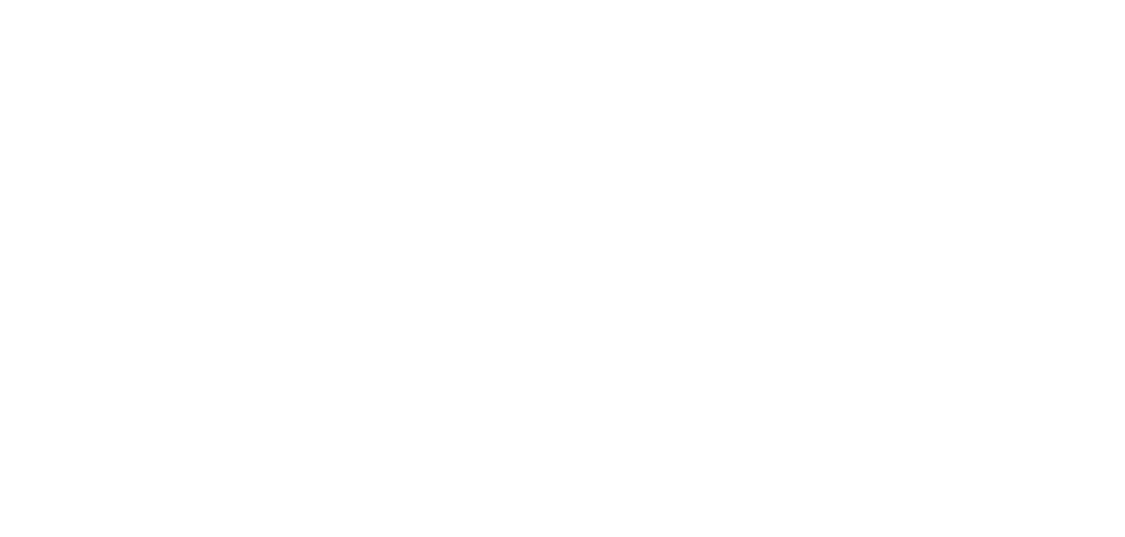 Logo de BIA Consultores Asociados