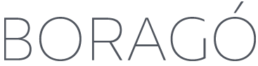 Logo de Boragó