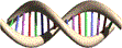 BioGenomica logo