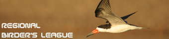 Logo de Birding Peru