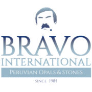 Logo de Bravo International