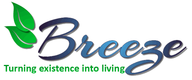 Breeze Support Solutions logo