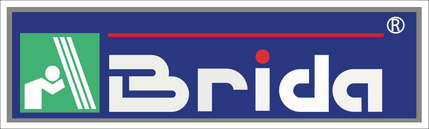 Brida Ingeniería de Proyectos logo