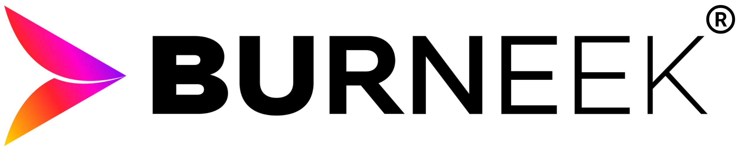 Logo de Burneek
