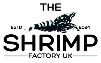 The Shrimp Factory UK logo