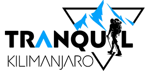 Tranquil Kilimanjaro logo