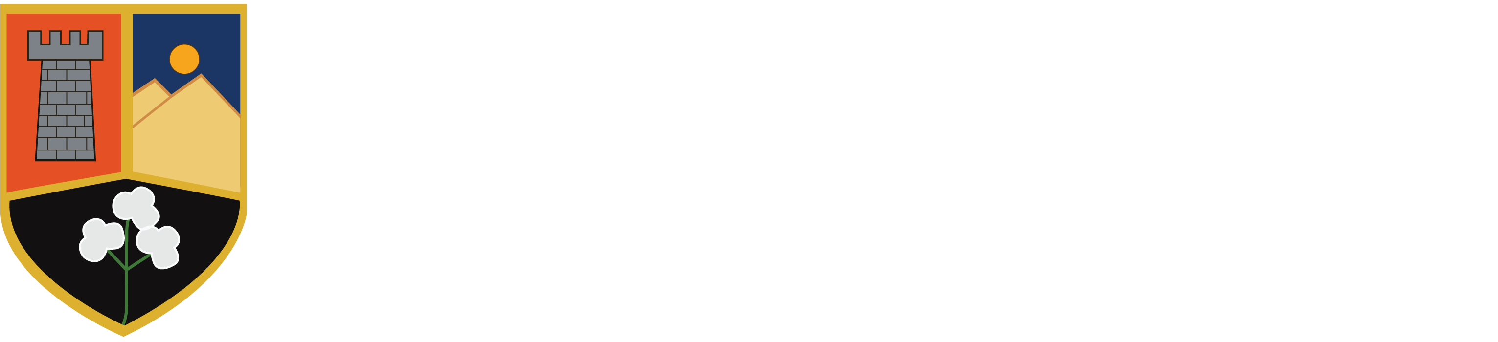 Logo de Condoray