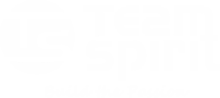 Logo de Team Spirit Sports