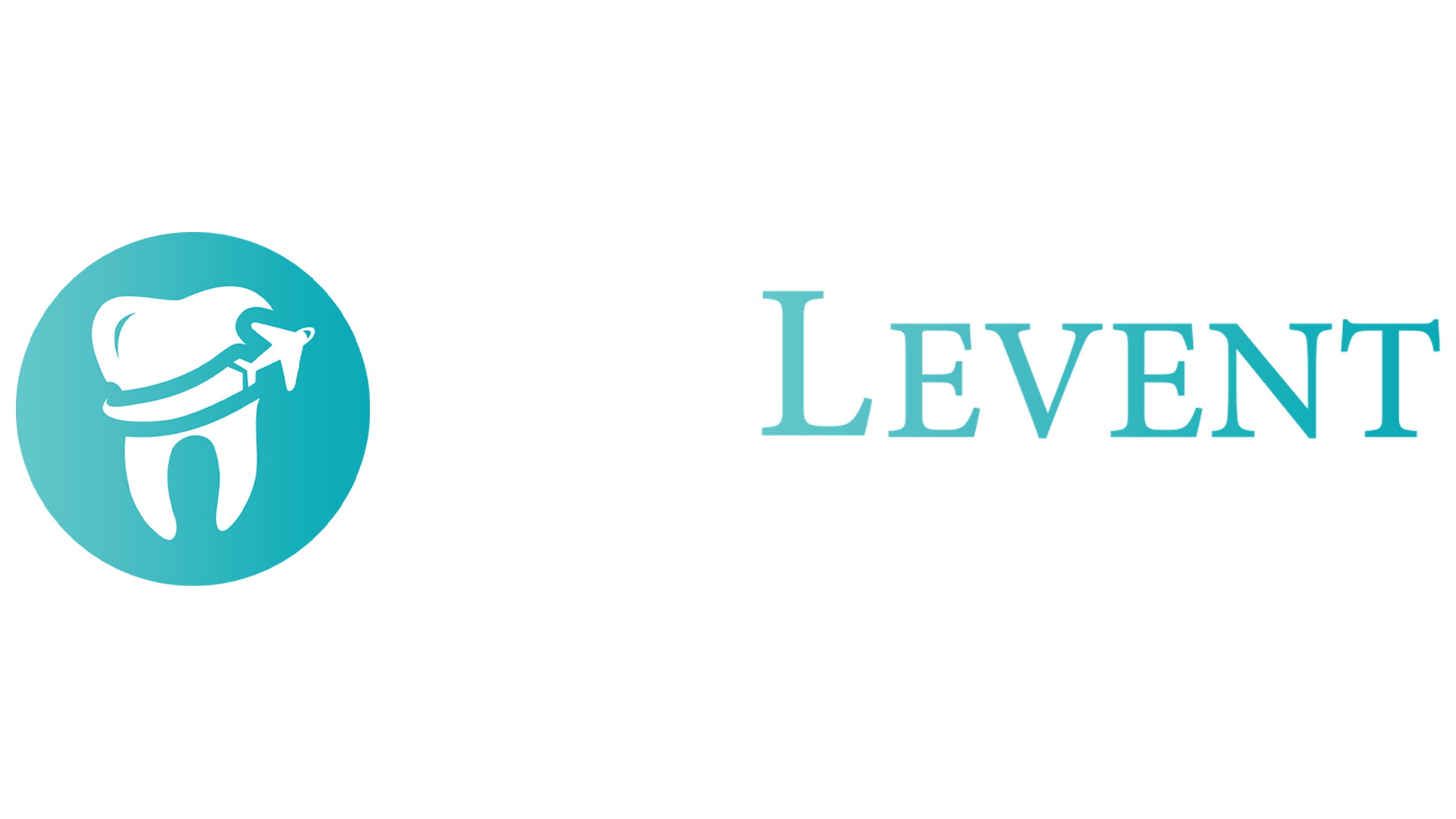 DisLevent International logo