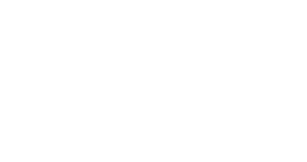 Display Armour logo