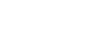 Dolly Noire logo