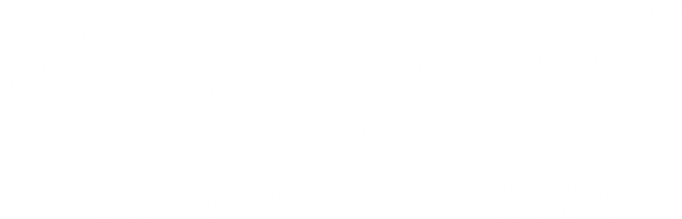 Logo de Eisegmi Courier