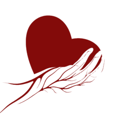Logo de Kindfuln