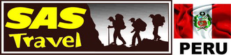 Logo de SAS Travel