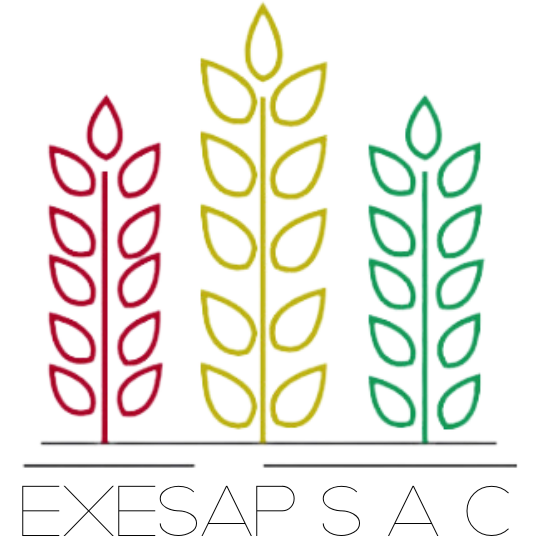 Logo de Exesap SAC