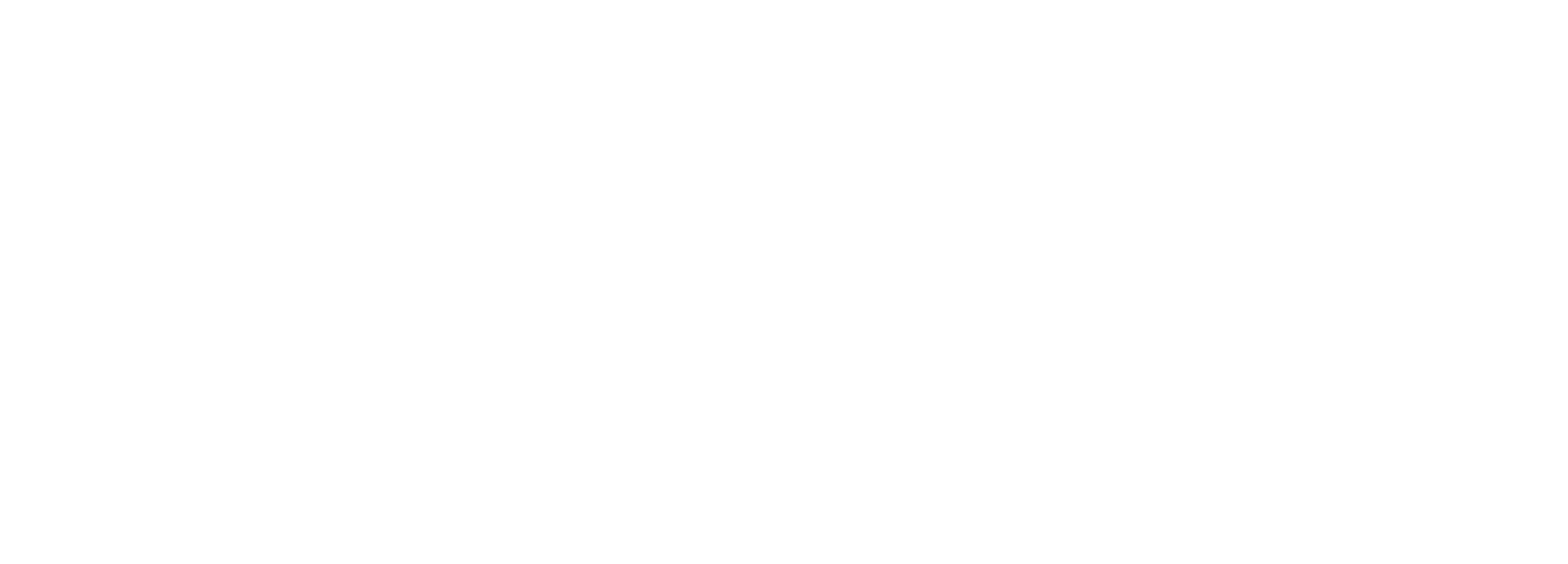 Figure Eleven Systems Ltd logo