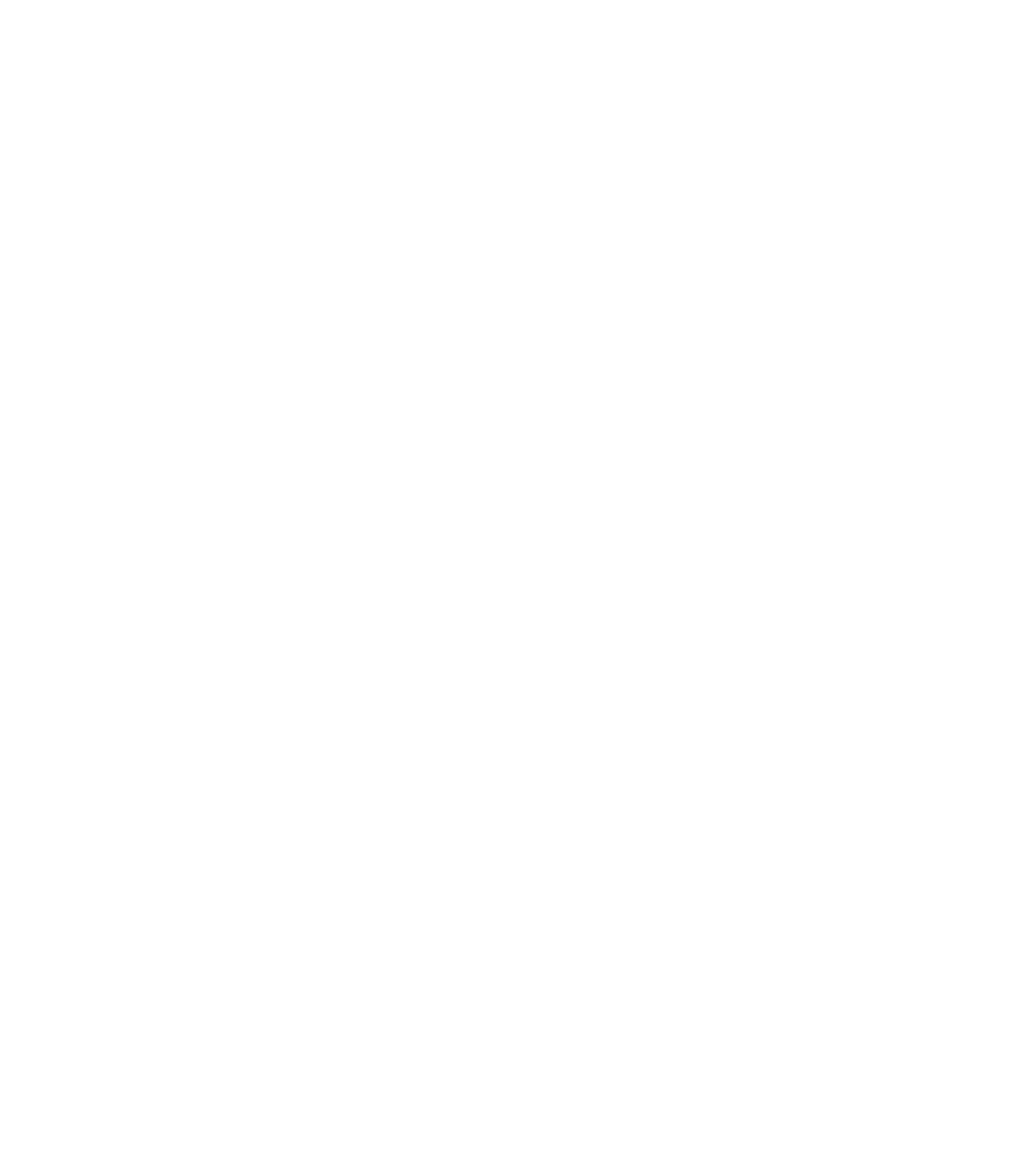 BallsMania logo