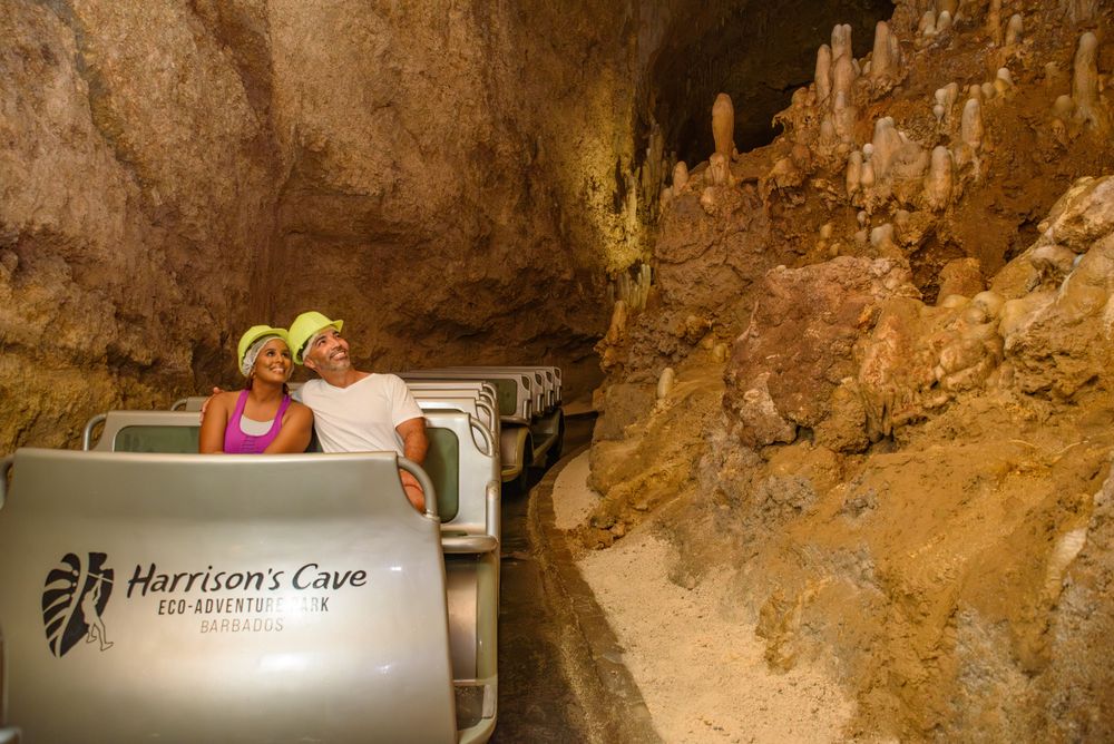 Harrison's Cave Eco-Adventure Park logo
