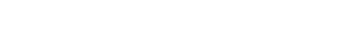 Drone Exterior Solutions Ltd logo