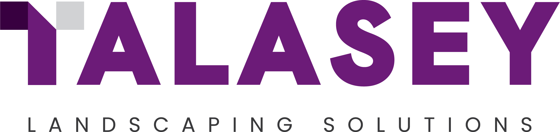 Talasey Ltd logo