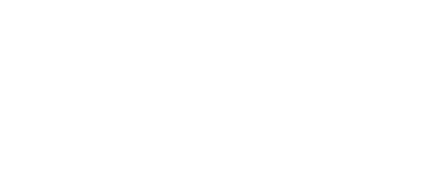 Vanr logo
