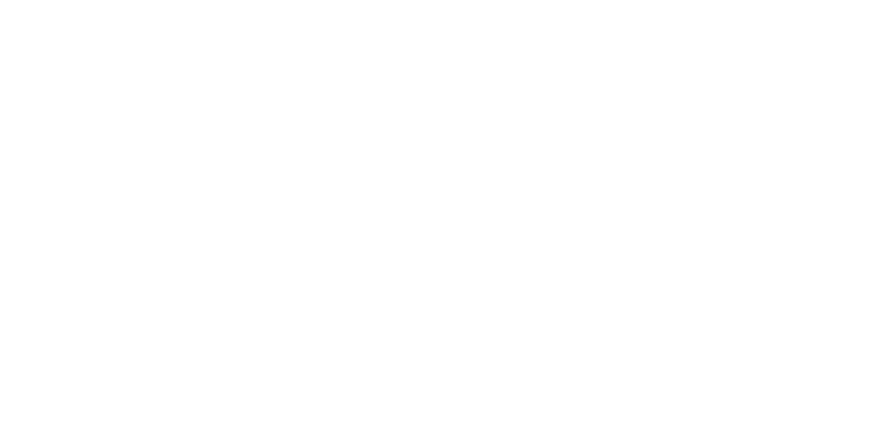 Horizon Management logo