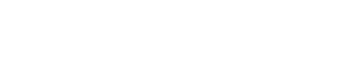 Logo de Hotel Presidente
