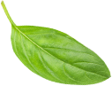 Logo de Kikko
