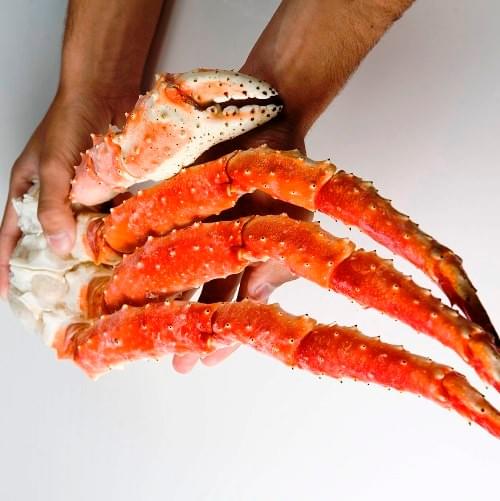 King Crab logo