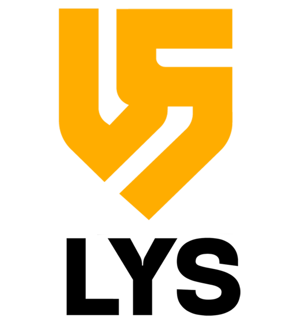 Logo de LYS Seguridad Integral