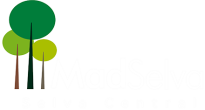 Logo de MadSelva