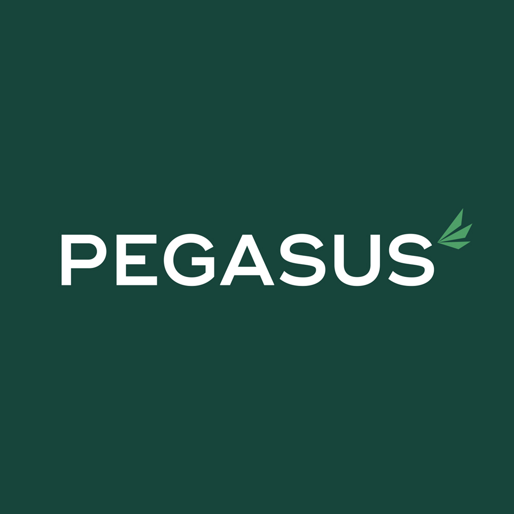 Pegasus Finance logo