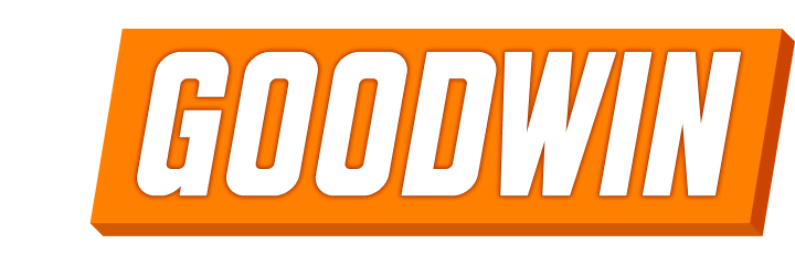 Logo de Mr.Goodwin