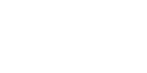 Best Bully Sticks logo