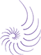 Logo de The Nautilus Maldives