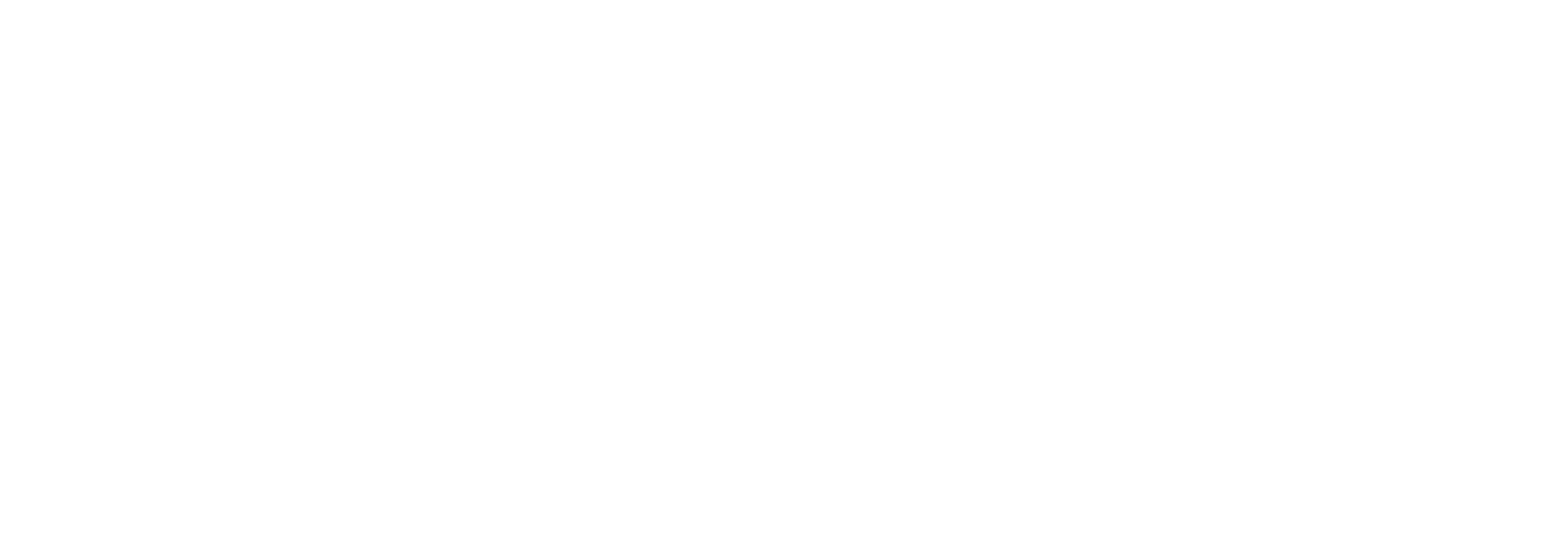 Nicole P Cosmetics logo