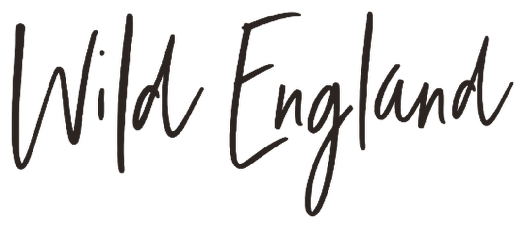 Wild England logo