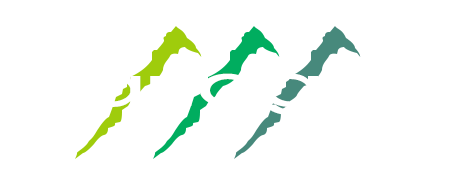 Logo de Flanagan