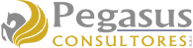 Logo de Pegasus Consultores S.A.C.